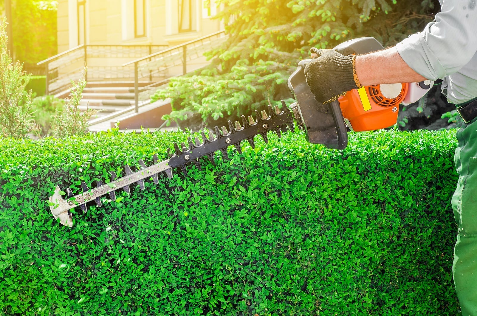 Lawn Trimming Services