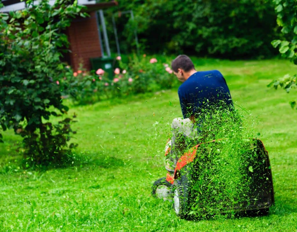 Common Lawn Care Mistakes to Avoid in Hampstead: Tips from the Experts