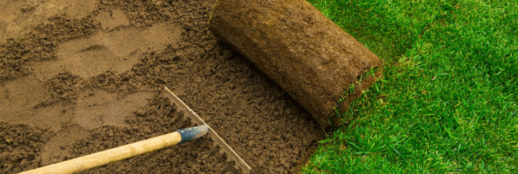 The Ultimate Grass Sod Installation Guide: Step-by-Step Instructions to a Thick, Green Lawn