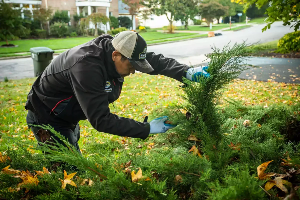 landscape services for you