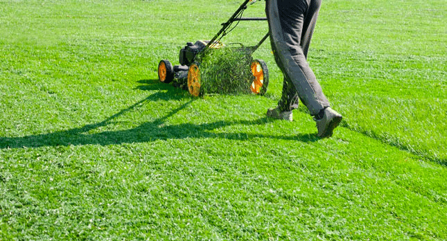 Seasonal Lawn Care