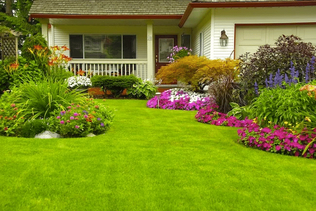 Spring Lawn Care Tips