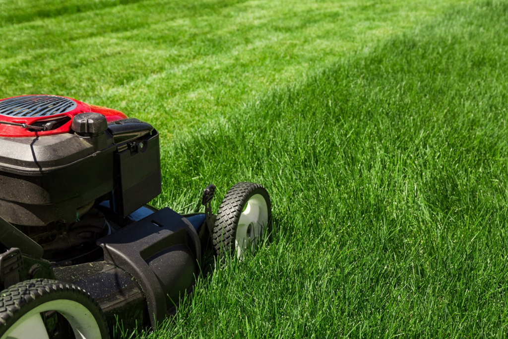 Winter Lawn Care Tips