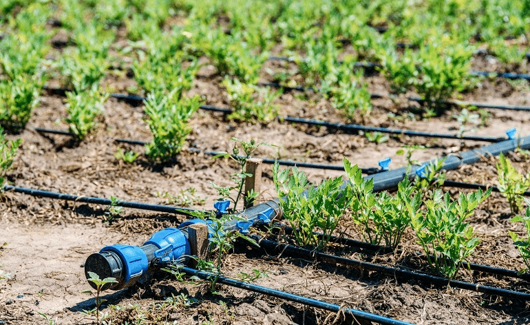 Choosing the Right Irrigation System for Your Property: 12 Factors to Consider