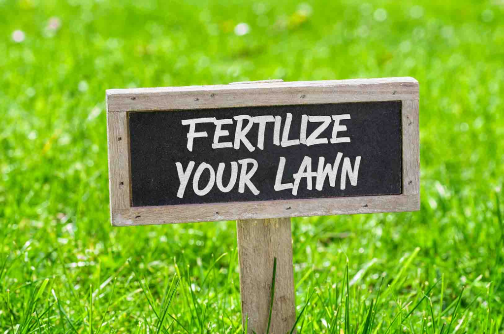 Understanding Lawn Fertilization: Essential Nutrients And Application Techniques For A Thriving Lawn