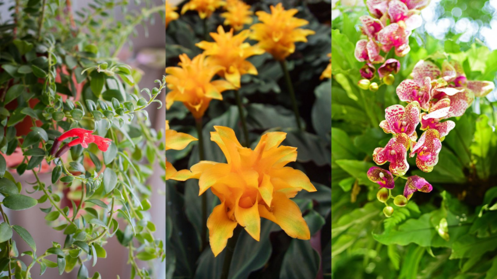 Spring Planting Guide: Essential Plants and Flowers for a Burst of Color and Fragrance