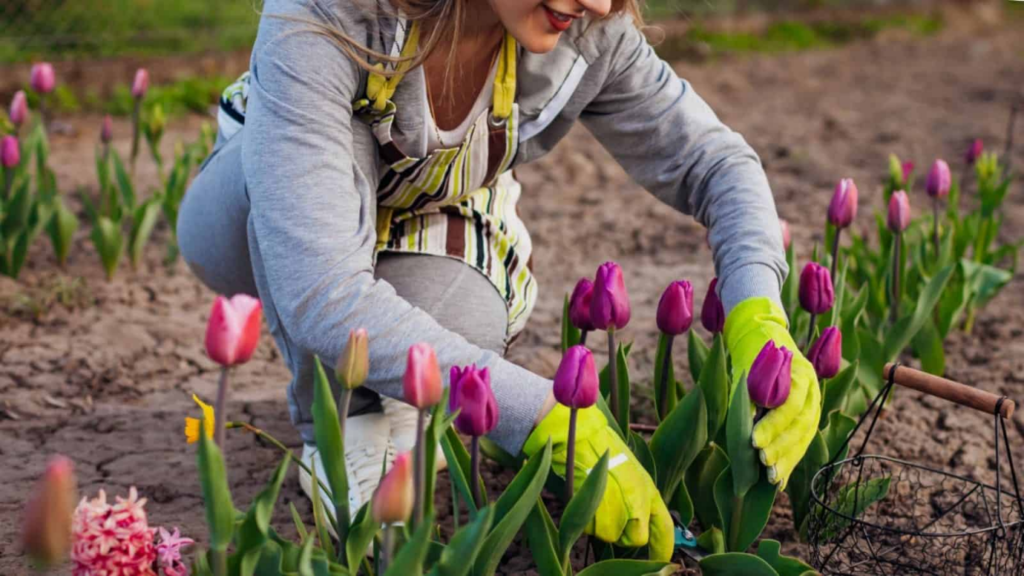 Seasonal garden maintenance