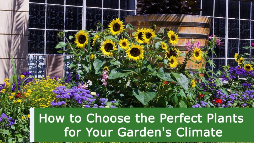 Choosing the Best Flowers for Your Garden: A Guide to Choosing Plants that Grow Well in Your Climate