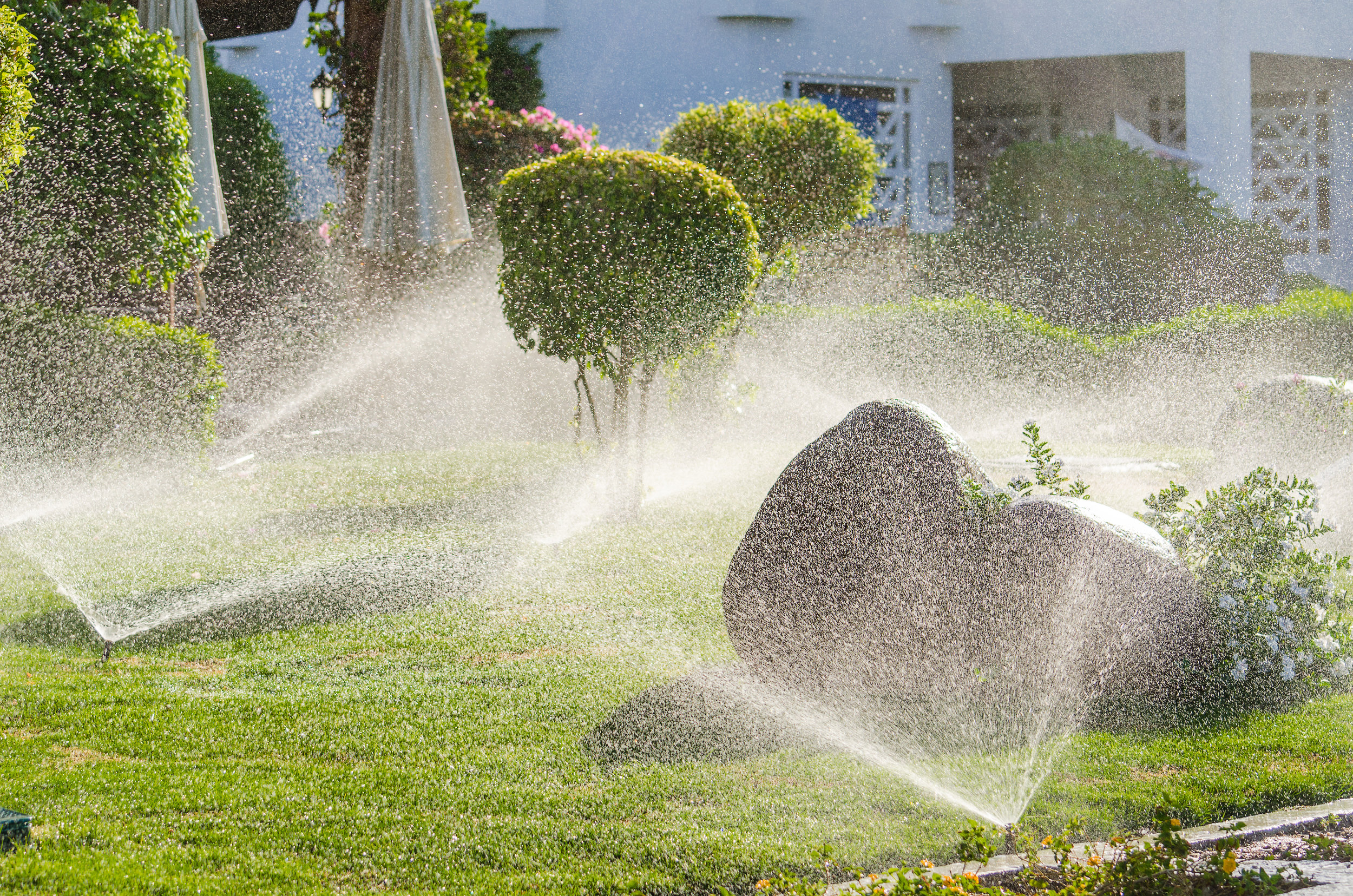 Automatic watering systems