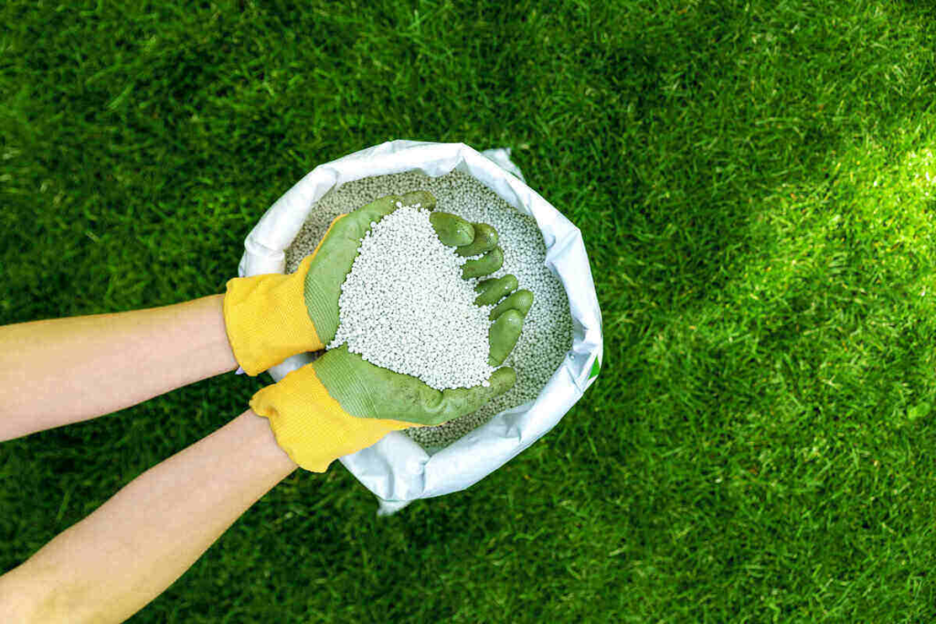 Fertilization and weed control services