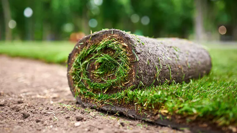 Grass Sod Installation In Hampstead