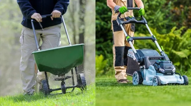 DIY vs Professional Lawn Services: Pros and Cons