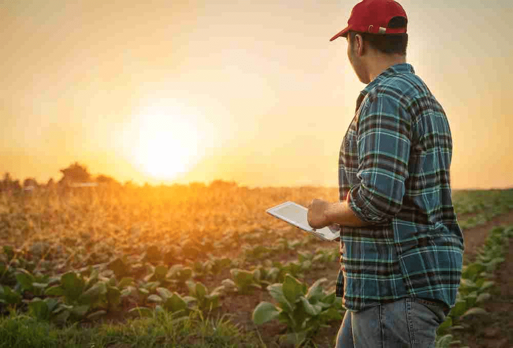 Smart irrigation: the use of technology to make watering systems more efficient