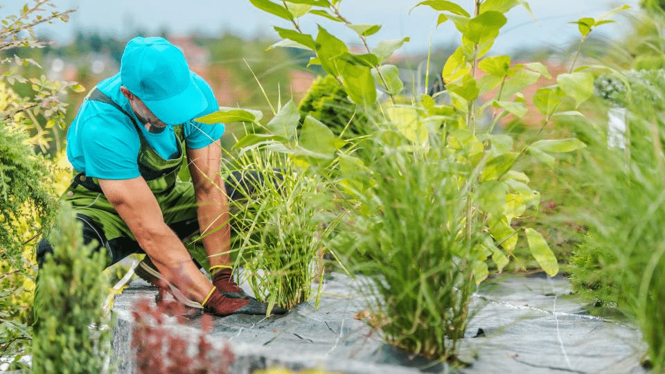 Effective Landscaping: Smart Water Solutions for the Conservation-Minded Homeowners